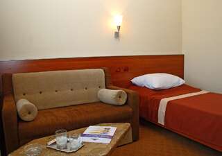 Отель Intourist-Zakarpattia Hotel Ужгород Представительский двухместный номер с 2 отдельными кроватями-3